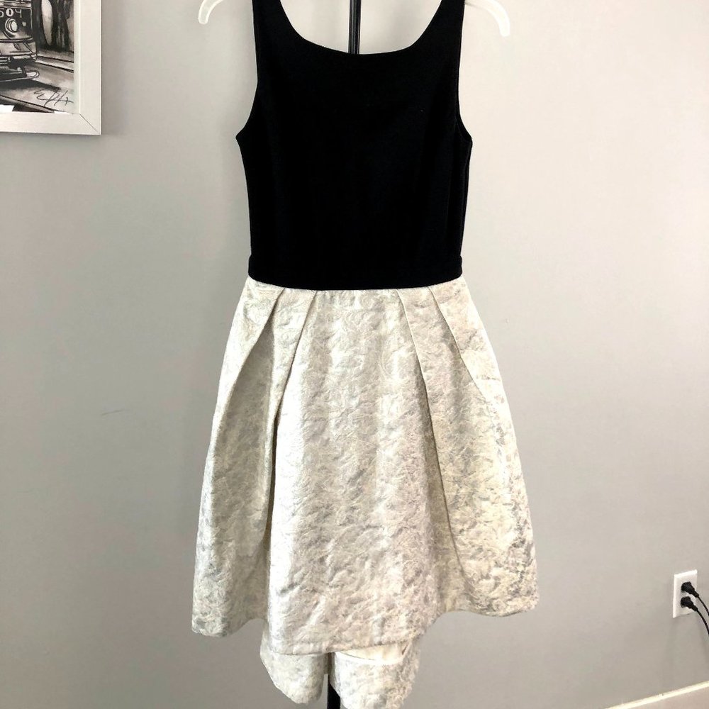 Slate & Willow Black and White Flare dress